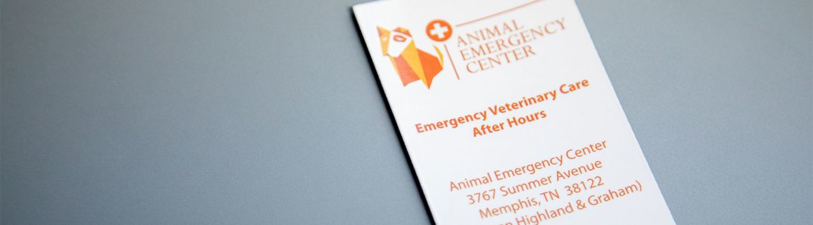 Referral Form | Animal Emergency Hospital | Memphis