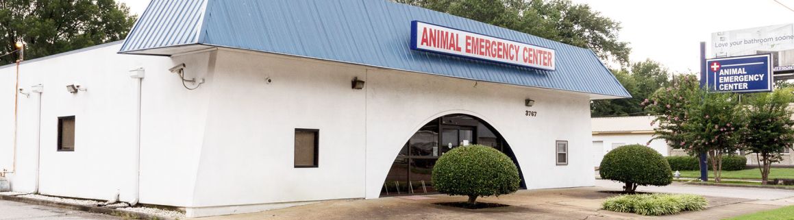 About | Animal Emergency Hospital | Memphis