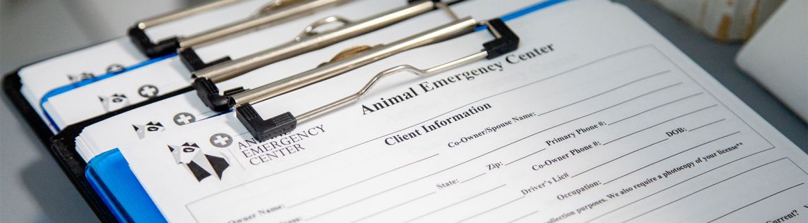 Patient Information | Animal Emergency Hospital | Memphis